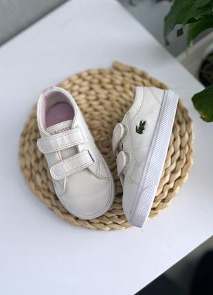 Кеди lacoste  білі