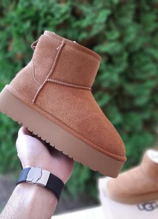 Ugg угги черевики