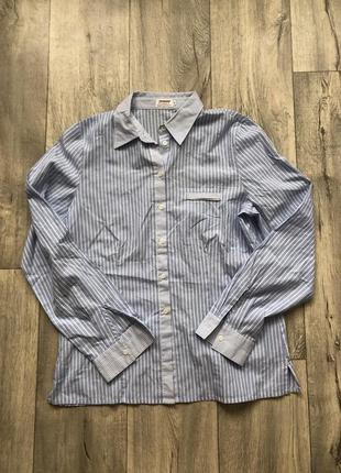 Рубашка в полоску голубая 42