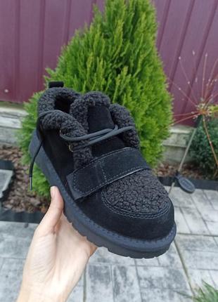 Ботинки ,ugg tazze,теплі ботинки, черевики