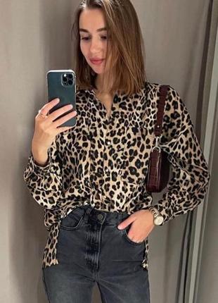 Леопардова сорочка zara