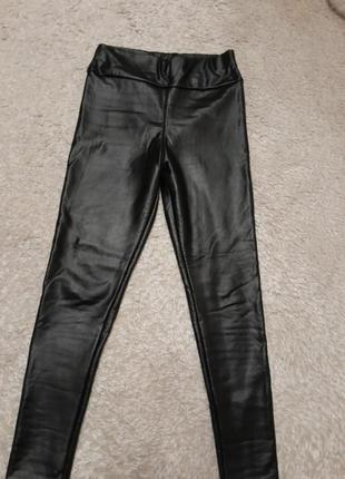 Лосини лосіни легінси
