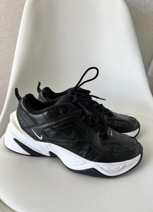 Кроссовки nike Sustainable Air Pressure