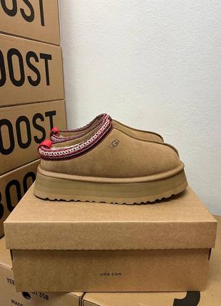 !розпродаж! Forede ugg tasman platform Mens угги таз угги таз угги таз таз тасман на меху все цвета