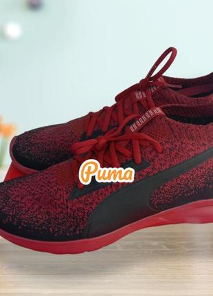 Кроссовки puma vigor evoknit fs1 фото