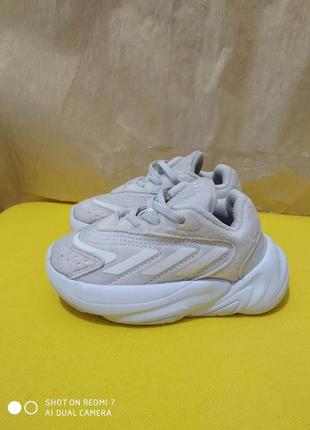 Кроссовки adidas ozelia2 фото