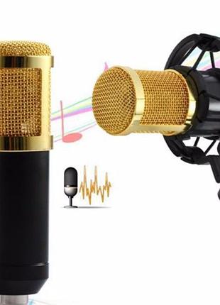 Мікрофон студійний професійний ukc m-800u