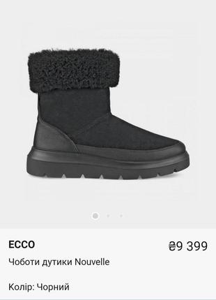 Зимние ботинки ecco nouvelle6 фото