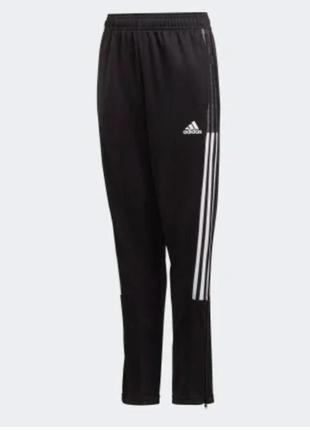 Женские спортивные штаны adidas