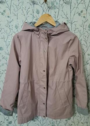 Вітровка дощовик