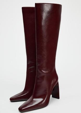 Высокие сапоги бордовые zara new