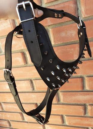 Шлейка воротник с шипами l(45-55 см) lockdog черный (2000002718680)3 фото