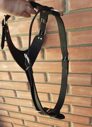 Шлейка воротник с шипами l(45-55 см) lockdog черный (2000002718680)7 фото