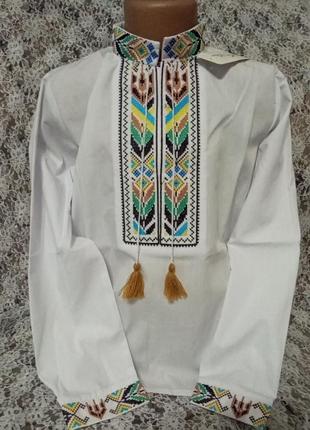 Вишиванка, колосок.