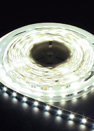 Светодиодная лента feron ls606 14.4w 60smd/м 12v ip20 6500k 5м