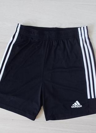 Мужские шорты adidas