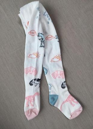 Колготи, колготки