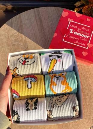 Бокс жіночих високих шкарпеток 36-41 на 6 пар у подарунковій коробці |швидка доставка|