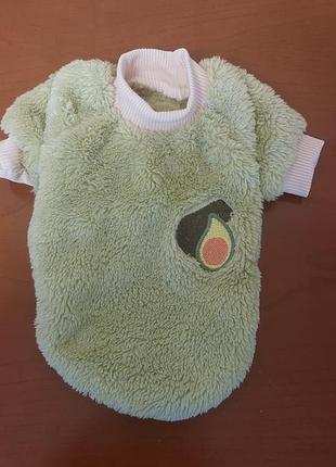 Світшот флісовий на собачку маленької породи.