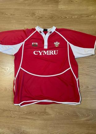 Мужская футболка manav оригинал