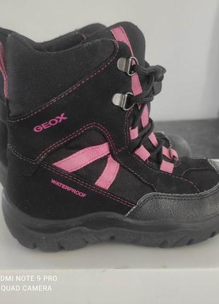 Ботаники на девочку