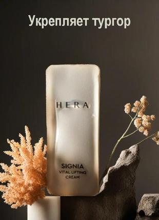 Hera signia vital lifting cream 1ml, крем антивозрастной с лифтинг эффектом