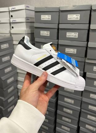 Adidas superstar white black