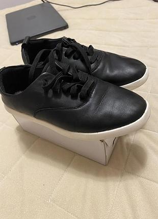 Кеди clark’s