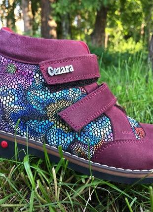 Демисезонные ортопедические ботинки cezara rosso ( турция )  внутри утепленные 20.3 см стелька