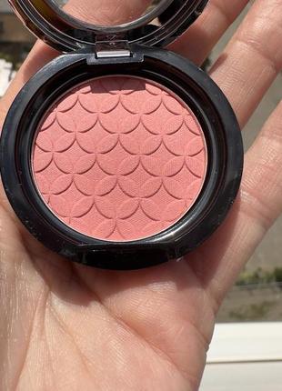 Ninelle artist blusher рум'яна іспанія ninelle artist blusher тон 120