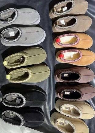 Стильные Kit ugg tazz на платформе угги