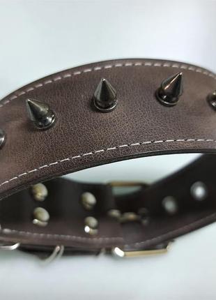 Кожаный ошейник с небольшими шипами m(30-44 см) lockdog коричневый (2000002398103)2 фото