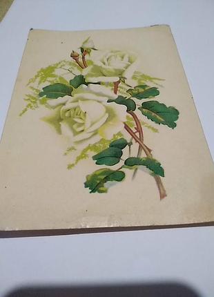 Почтовая карточка, открытка.чистая не подписана. 1975 год. следы времени.