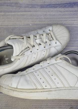 Кеды adidas superstar