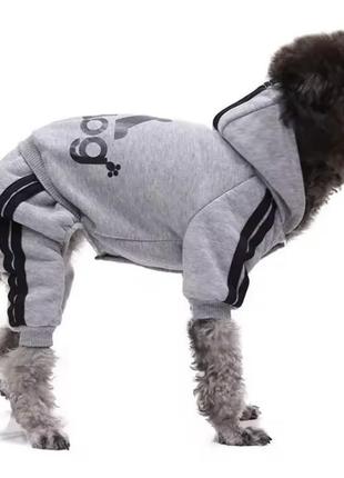 Костюм для собак и кошек "adidog" gray size xs 0.5 - 1.2 кг