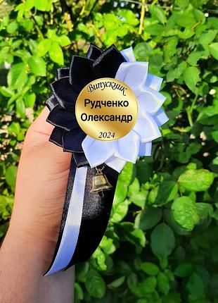 Значки для студентов 2