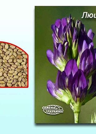 Люцерна оброблена, магнічена (в мішку) 25кг тм насіння україни