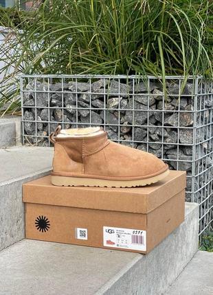 Жіночі угги ugg mini