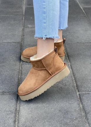 Жіночі угги  ugg mini