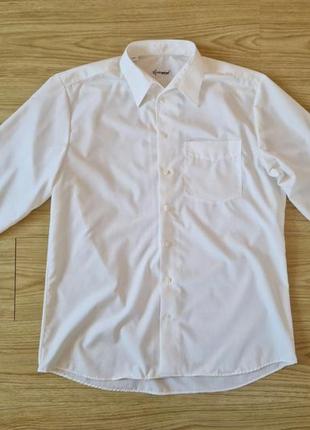 Рубашка чоловіча walbusch розмір 42 original