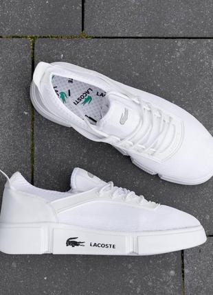 Кросівки lacoste white2 фото