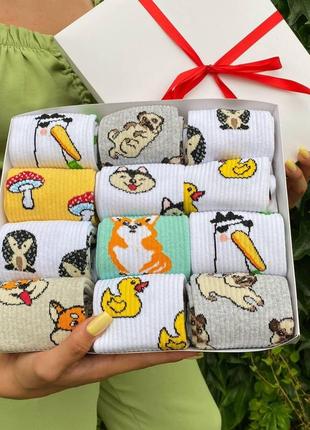 Бокс жіночих високих шкарпеток 36-41 на 12 пар у подарунковій коробці