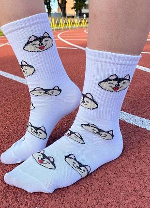 Шкарпетки жіночі високі 1 пара "хаскі" білі 36-41 р