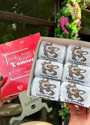 Бокс жіночих подарункових шкарпеток 36-41 на 6 пар