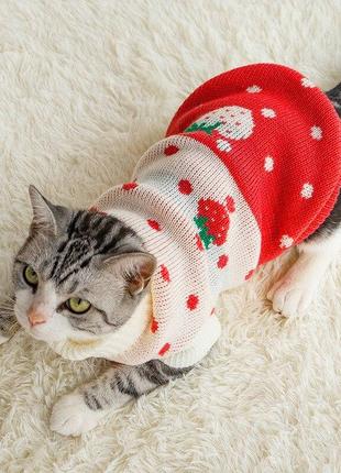 Вязаный акриловый свитер для котов и кошек pet style "красная клубника"