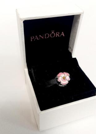 Срібний шарм (бусіна) pandora "рожева фіалка" пандора подарок для жінки
