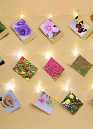 Прищіпки декоративні для фото прозорі 100 штук набір для фотографій мініприщіпка для декору