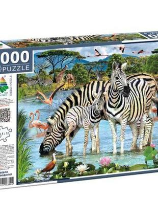 Пазлы "зебры на водопое", 1000 элементов, 66 х 48 см