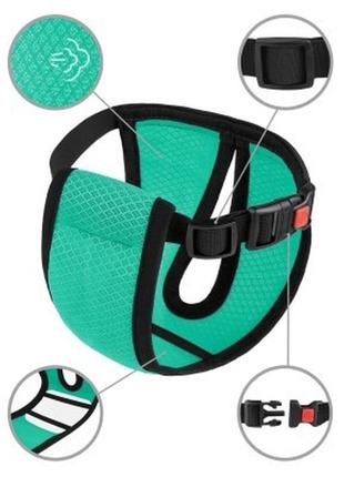 Труси гігієнічні bronzedog mesh для собак розмір м ментолові (2007033025459)