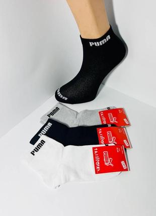Шкарпетки літні 12 пар спортивні сітка бавовна середні puma туреччина розмір 36-40 мікс